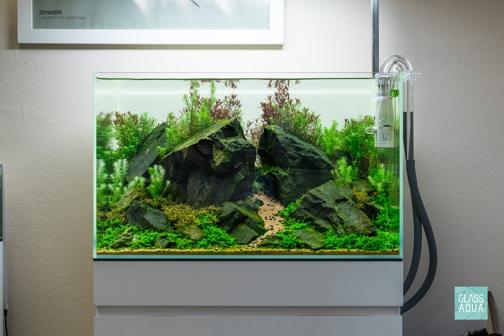 Brazilian Style Iwagumi planted aquarium with live aquatic plants in UNS 60U by Glass Aqua