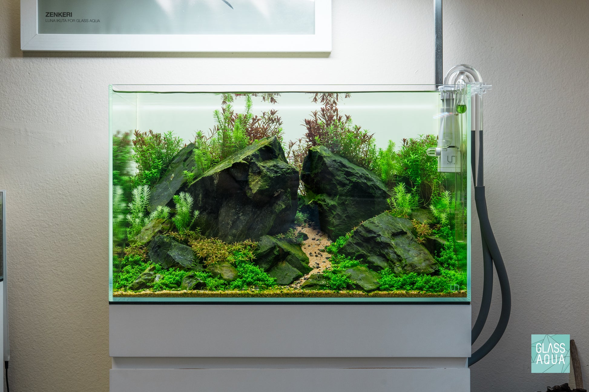 Brazilian Style Iwagumi planted aquarium with live aquatic plants in UNS 60U by Glass Aqua
