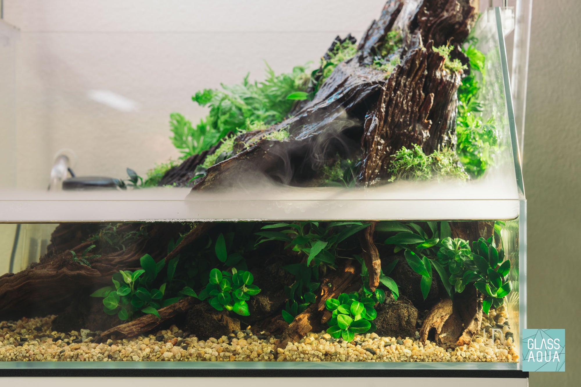 Paludarium Starter Kit - Glass Aqua