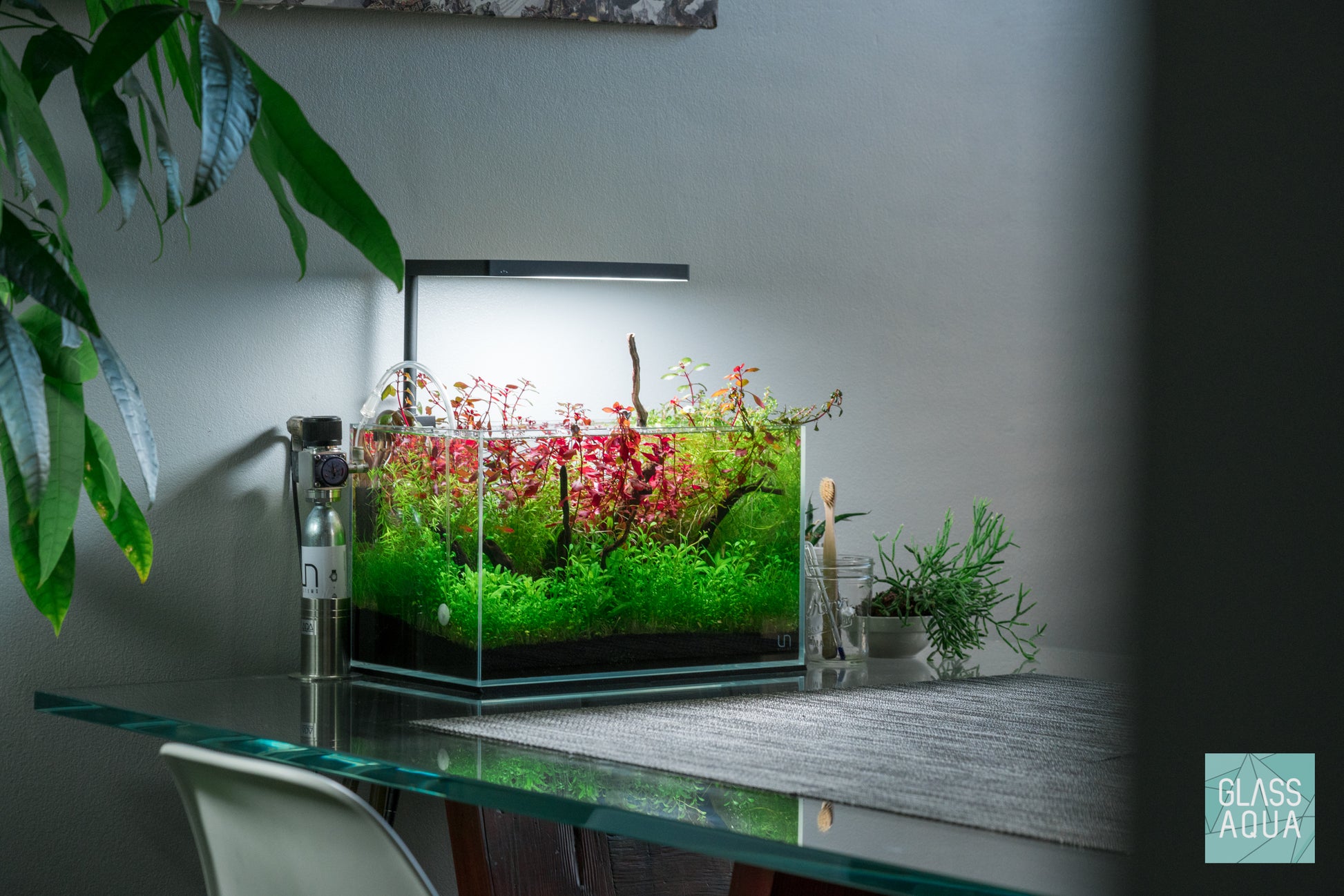 Build Your Own Aquarium Kit - Nano Tank - Glass Aqua