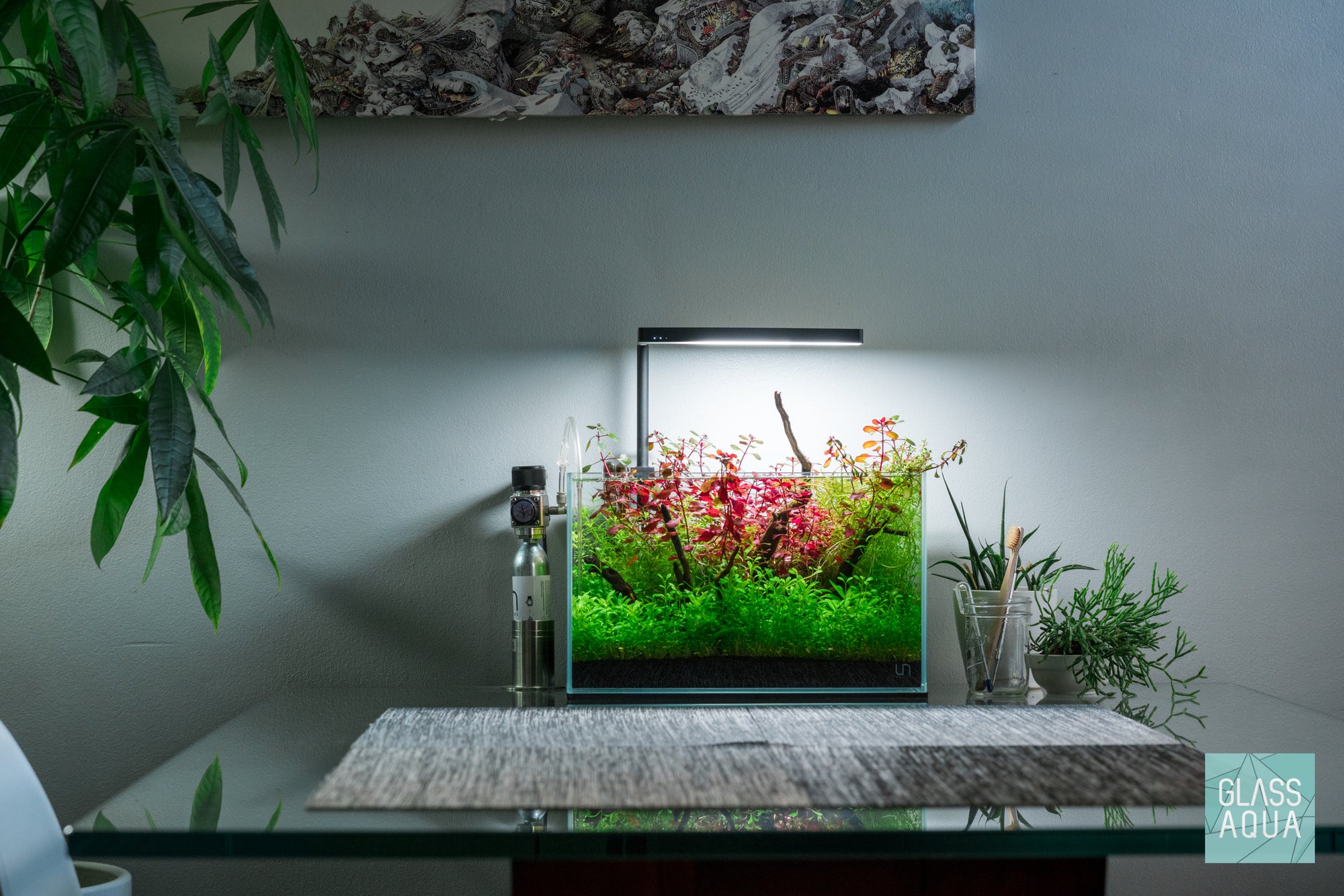 UNS 5N nano planted tank by Glass Aqua