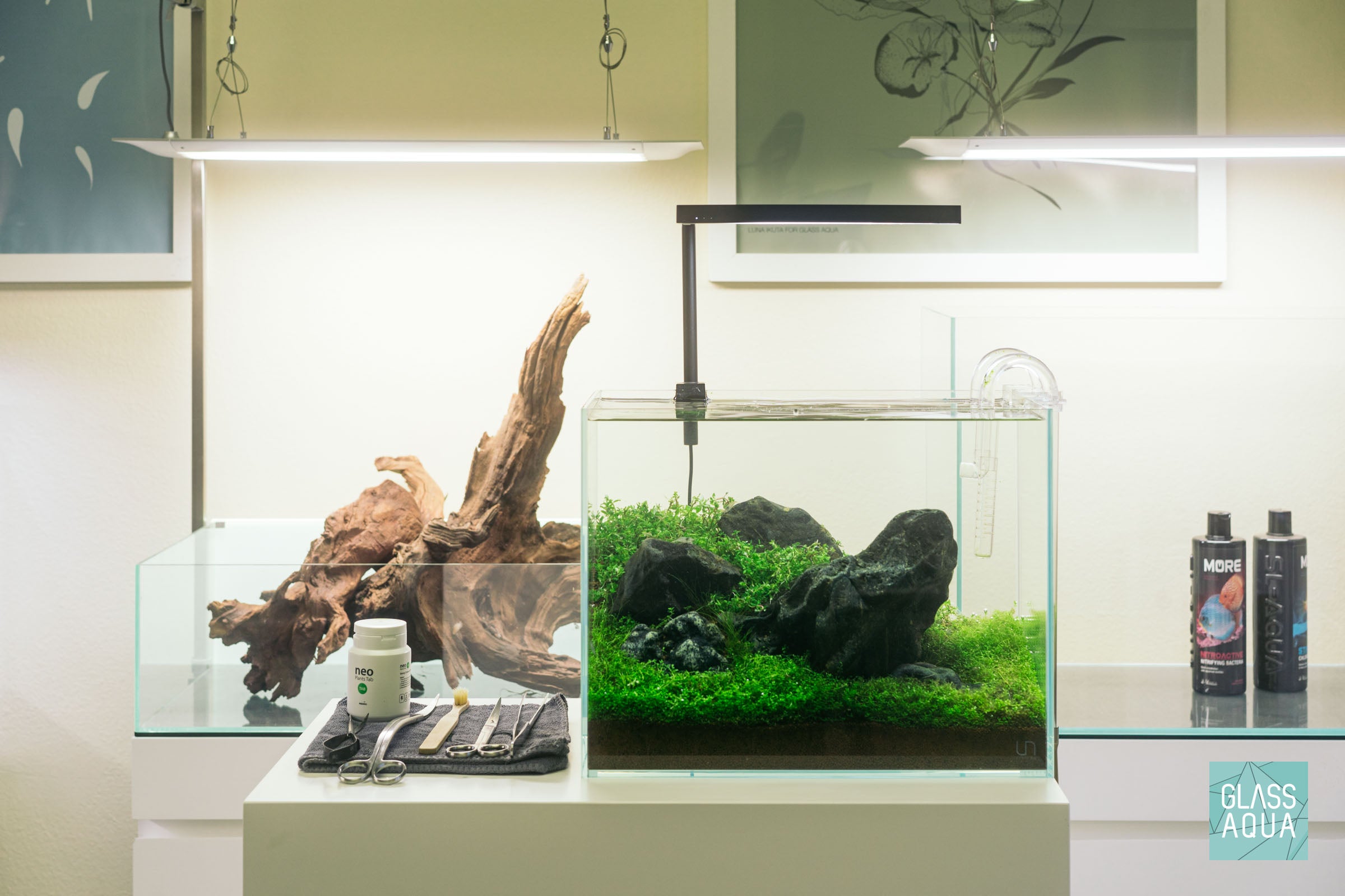 Ultum Nature Systems UNS 5T tall nano planted rimless aquarium tank iwagumi with Hakkai Stone
