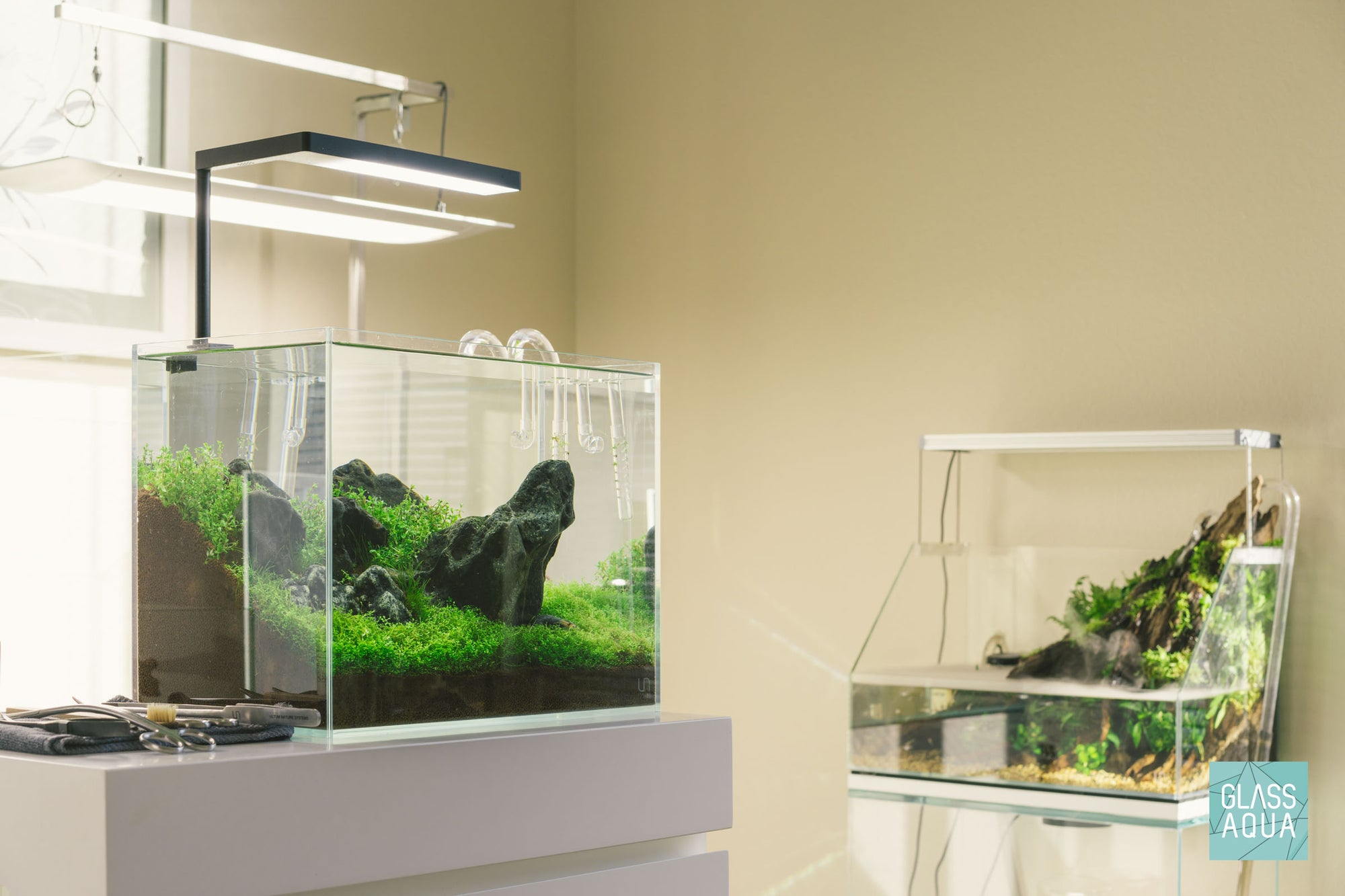 Wild Meadow - Nano Iwagumi aquascape in UNS 5T rimless aquarium by Glass Aqua