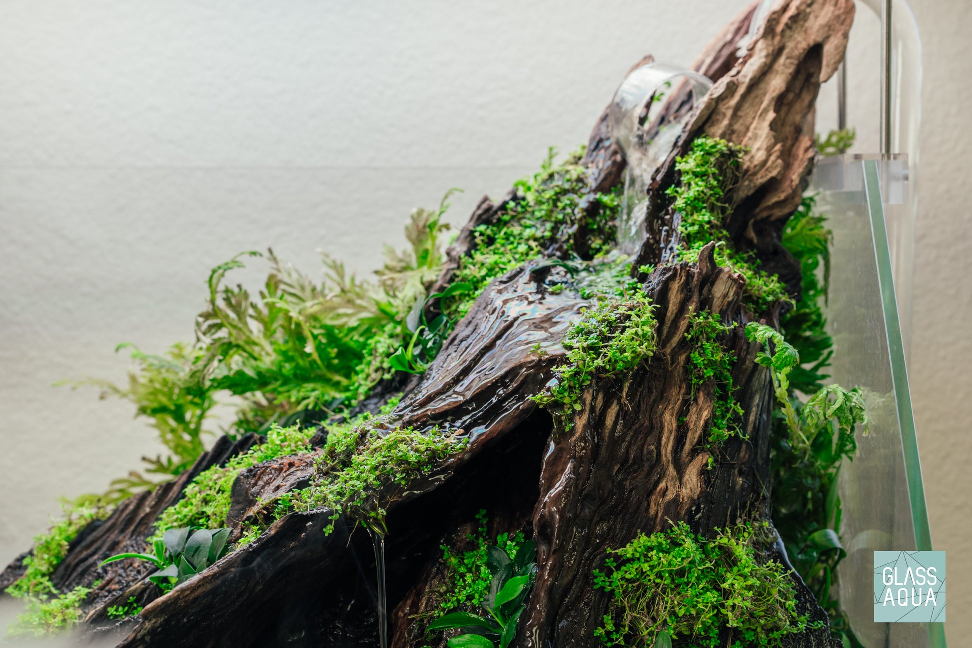 Build Your Own Paludarium Kit