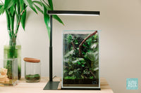 DIY Paludarium in UNS 16T by Glass Aqua
