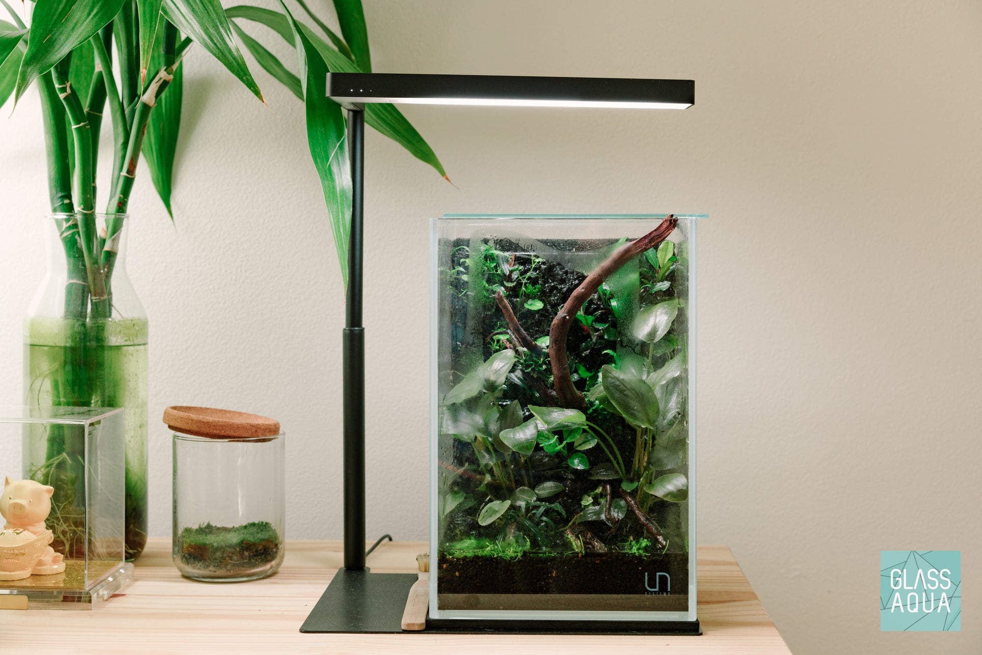 DIY Paludarium in UNS 16T by Glass Aqua