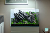 Iwagumi planted aquarium planted with Monte Carlo in UNS 60U by Glass Aqua