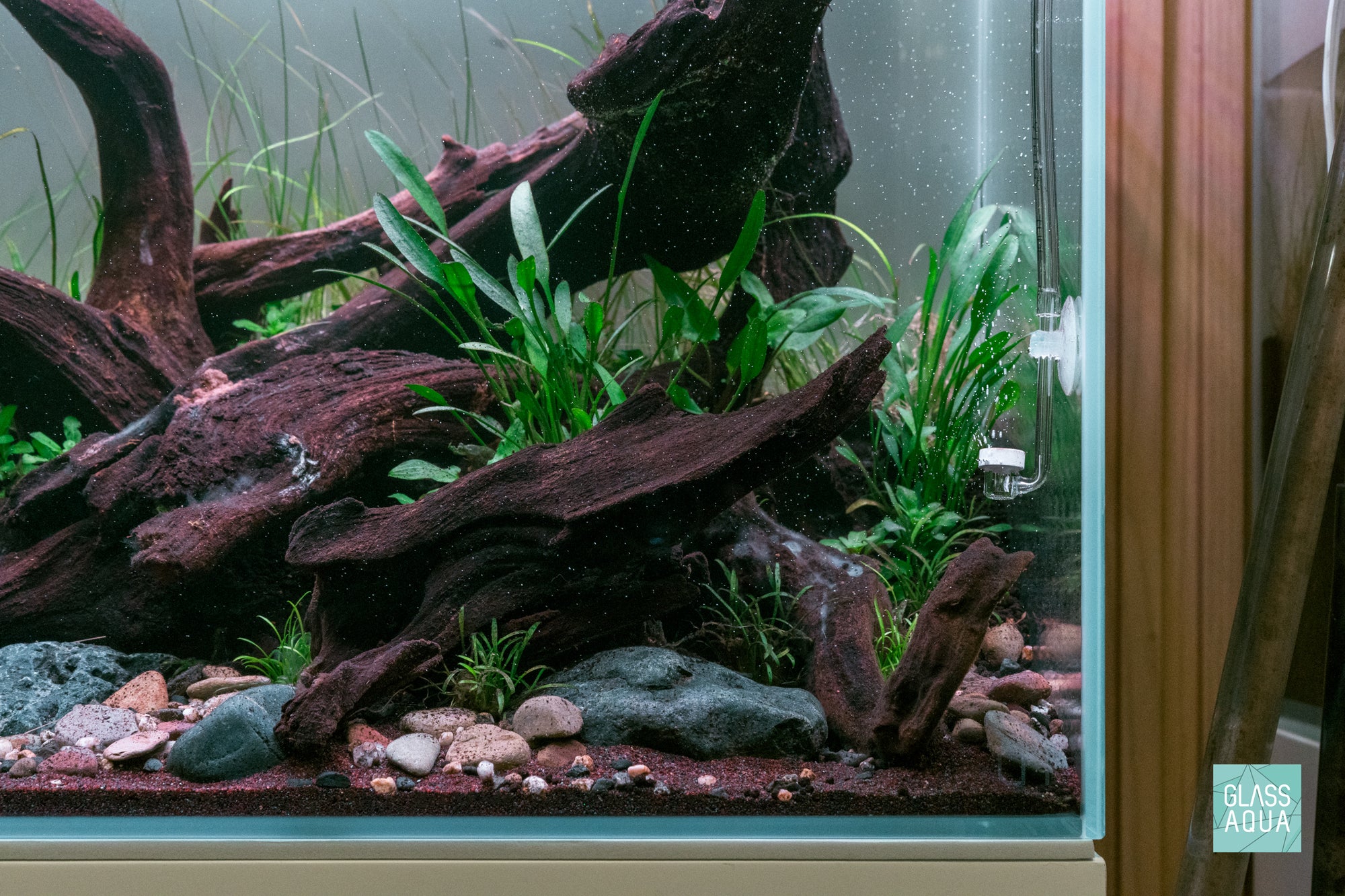Forest Grove - UNS 45T nature style planted aquarium by Glass Aqua