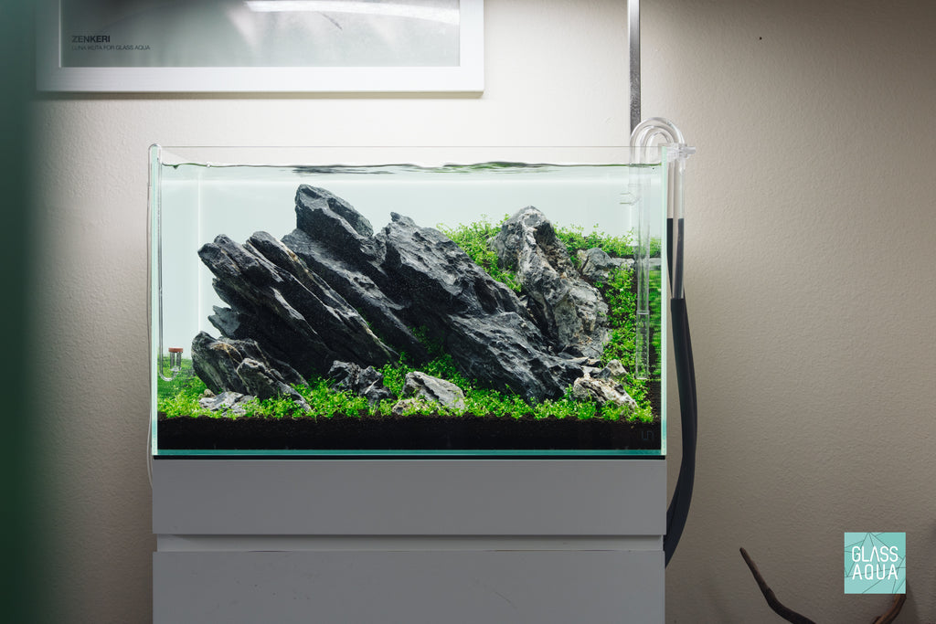 Aquario Neo CO2 Diffuser - Extended Original