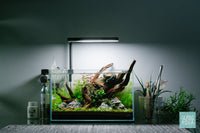 Ultum nature systems UNS 5N Nano Rimless Glass Aquarium Tank Nature Aquarium Aquascape