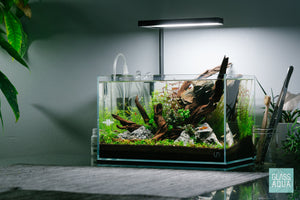 Ultum nature systems UNS 5N Nano Rimless Glass Aquarium Tank Nature Aquarium Aquascape
