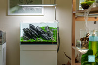 UNS Rimless Standard Glass Aquarium Tank - Glass Aqua