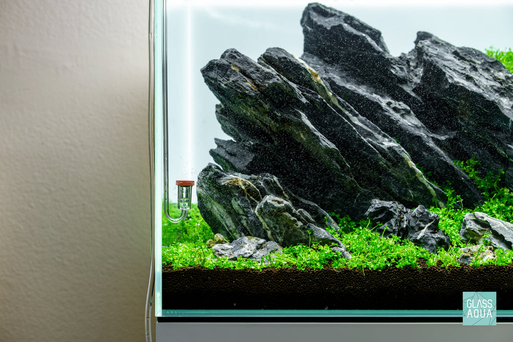 Ultum Nature Systems UNS 60U Iwagumi Planted Aquarium Tank Aquascape