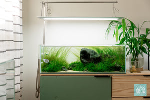 Build Your Own Aquarium Kit - Long Tank - Glass Aqua