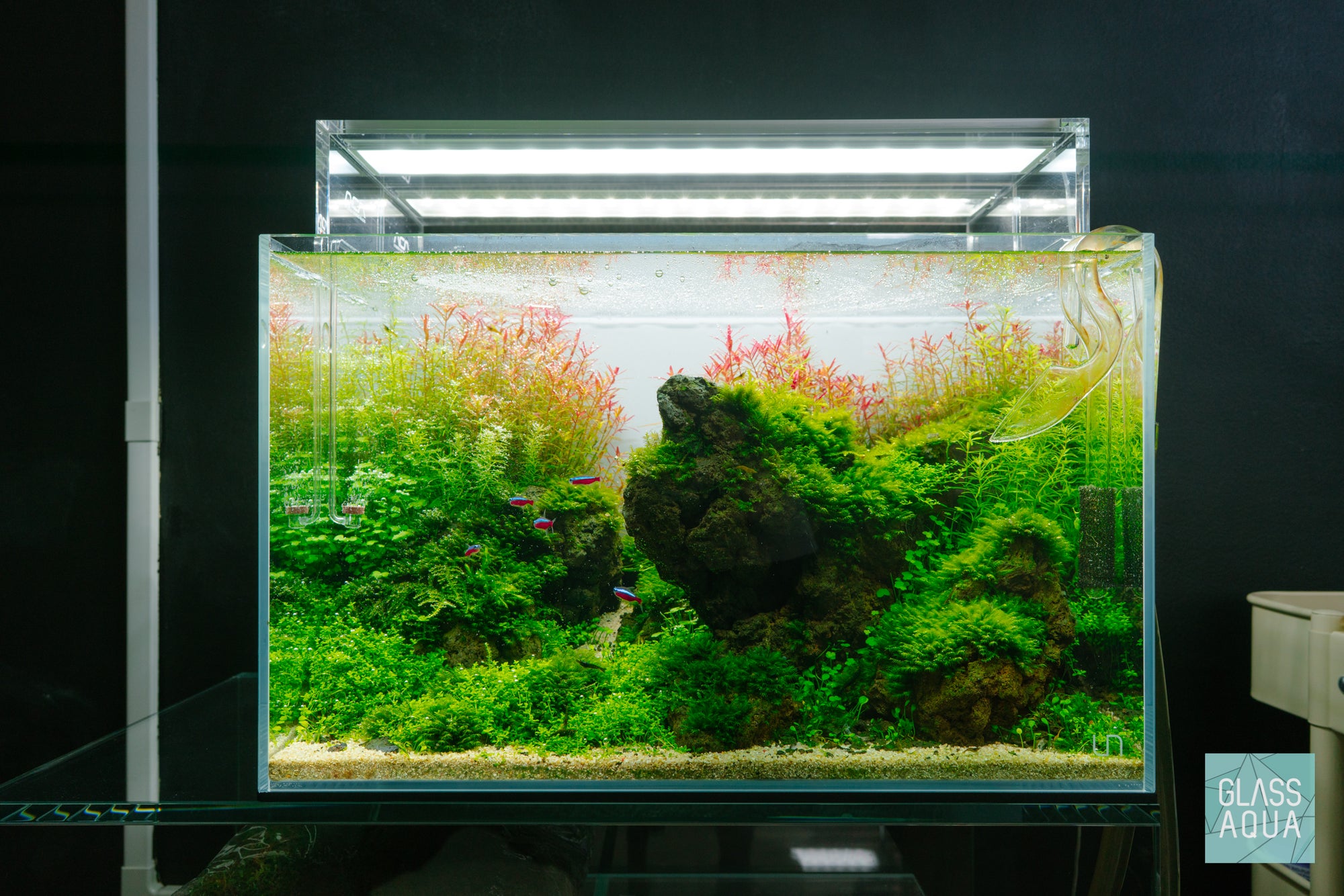 Brazilian-Style Iwagumi planted aquarium in UNS 45U by Glass Aqua