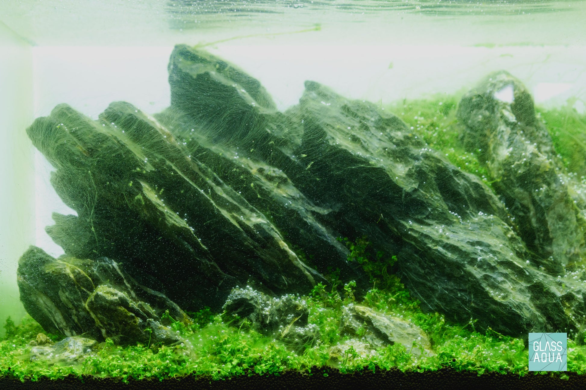 Ultum Nature Systems UNS 60U Iwagumi Planted Aquarium Tank Aquascape