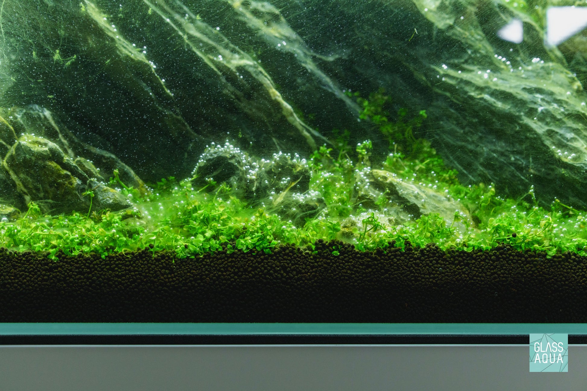 2HR Aquarist APT Fix Algae Treatment for Planted Aquariums