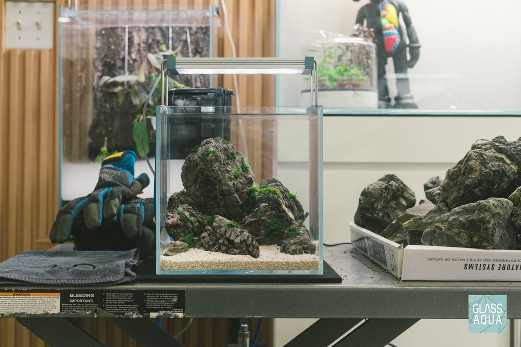 UNS Rimless Aquarium Sale