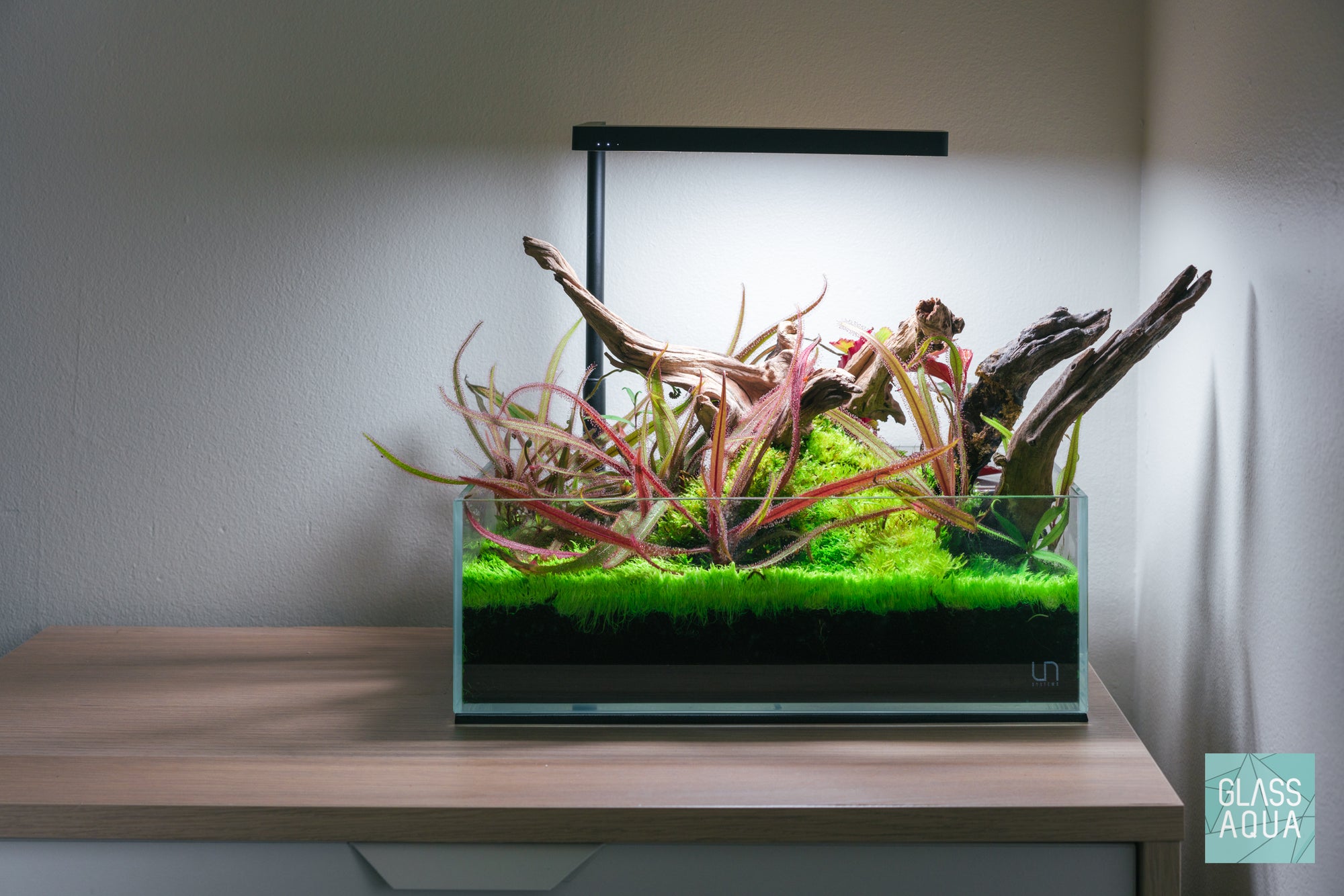 UNS 5S 2.5 gallon rimless planted tank aquascape by Glass Aqua