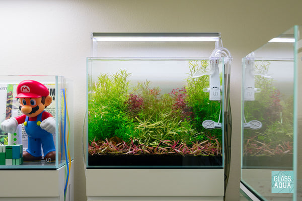 UNS Rimless Tall Glass Aquarium Tank - Glass Aqua