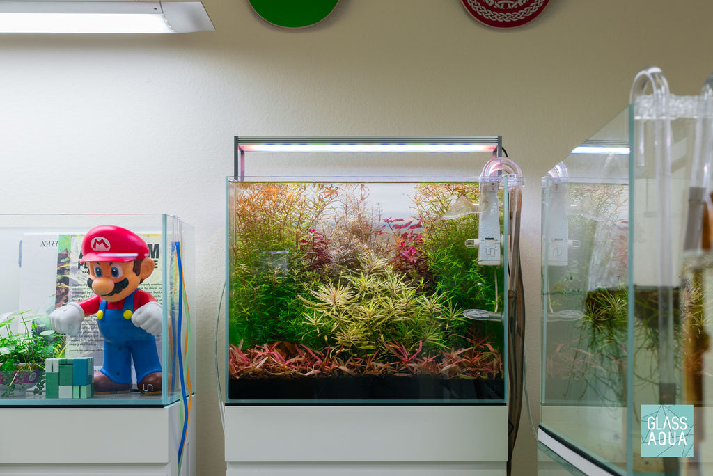 UNS Rimless Tall Glass Aquarium Tank - Glass Aqua