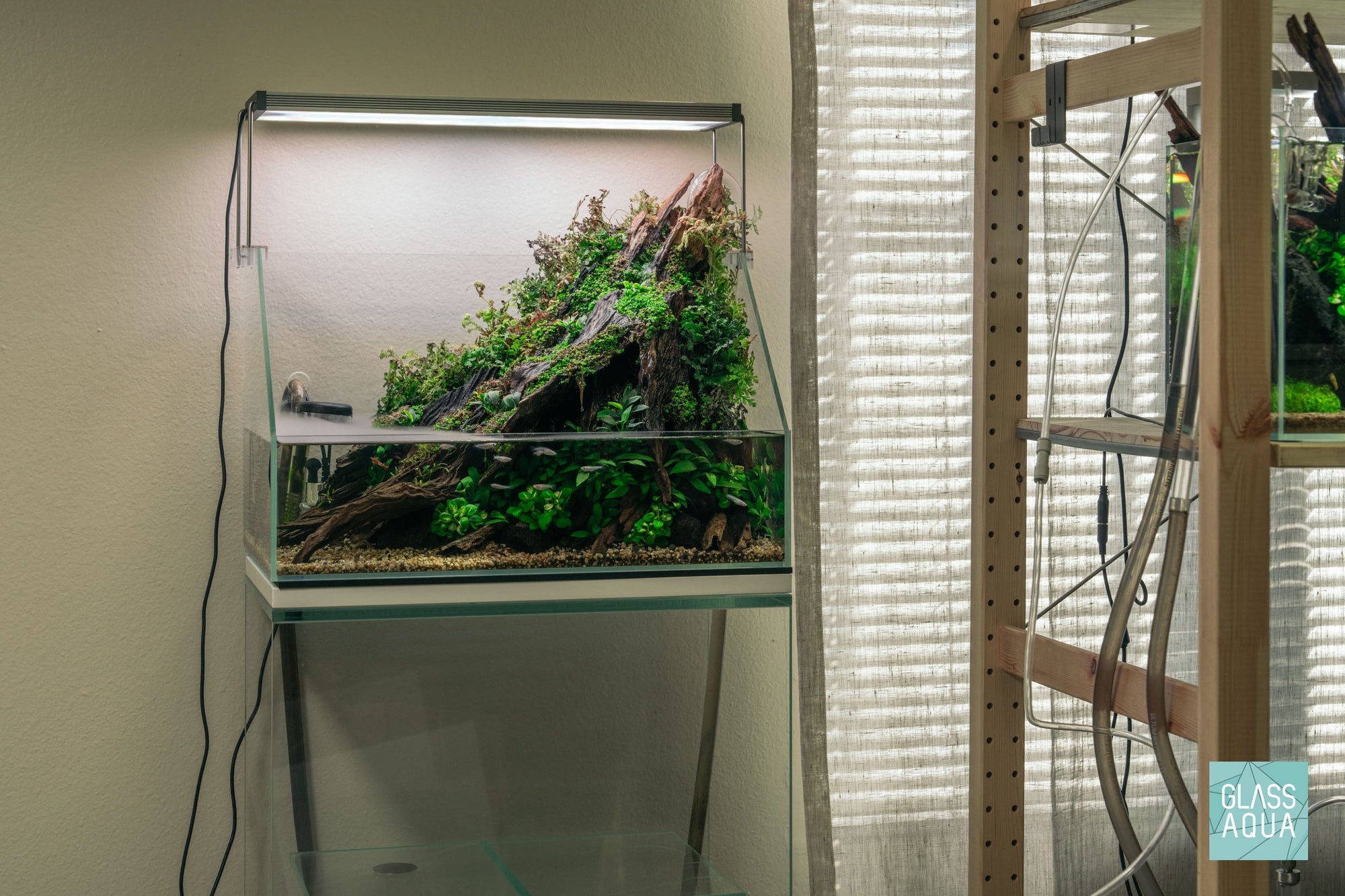 Build Your Own Paludarium Kit - Glass Aqua
