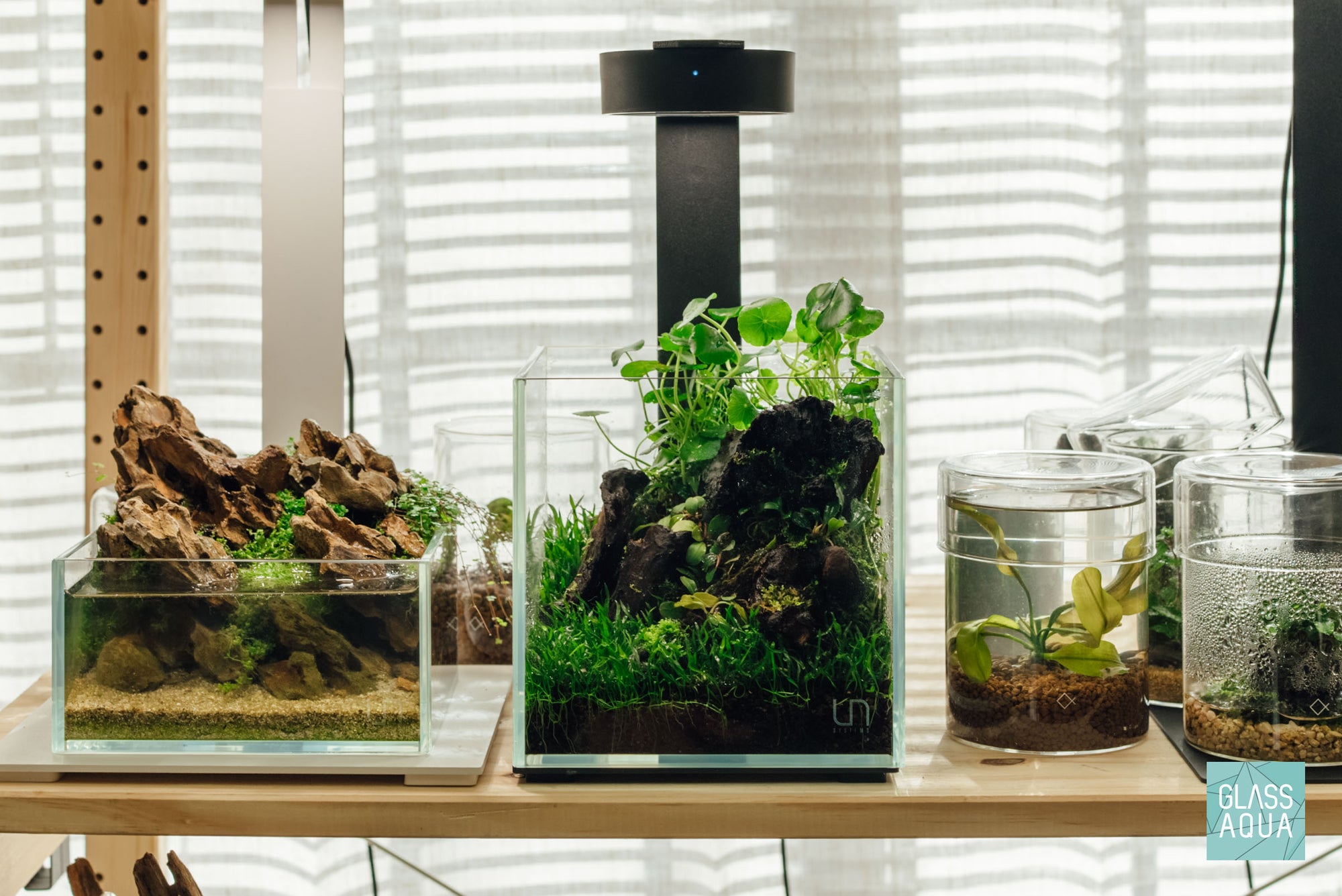 Ultum Nature Systems UNS 16C cube nano planted rimless aquarium tank terrarium style