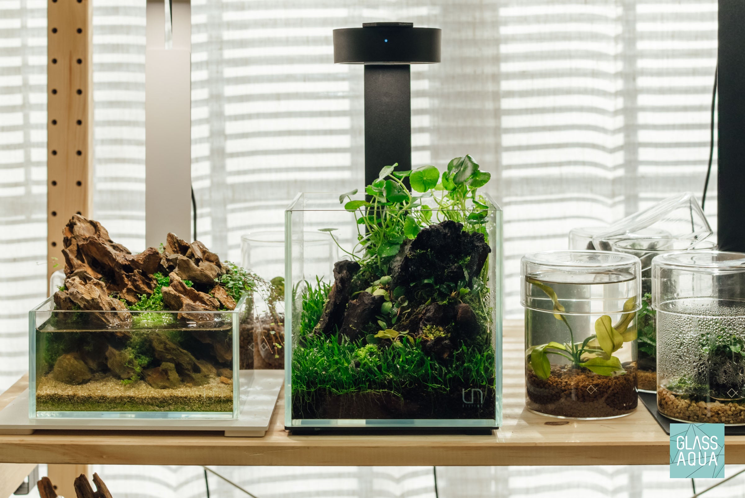 Ultum Nature Systems UNS 16C cube nano planted rimless aquarium tank terrarium style