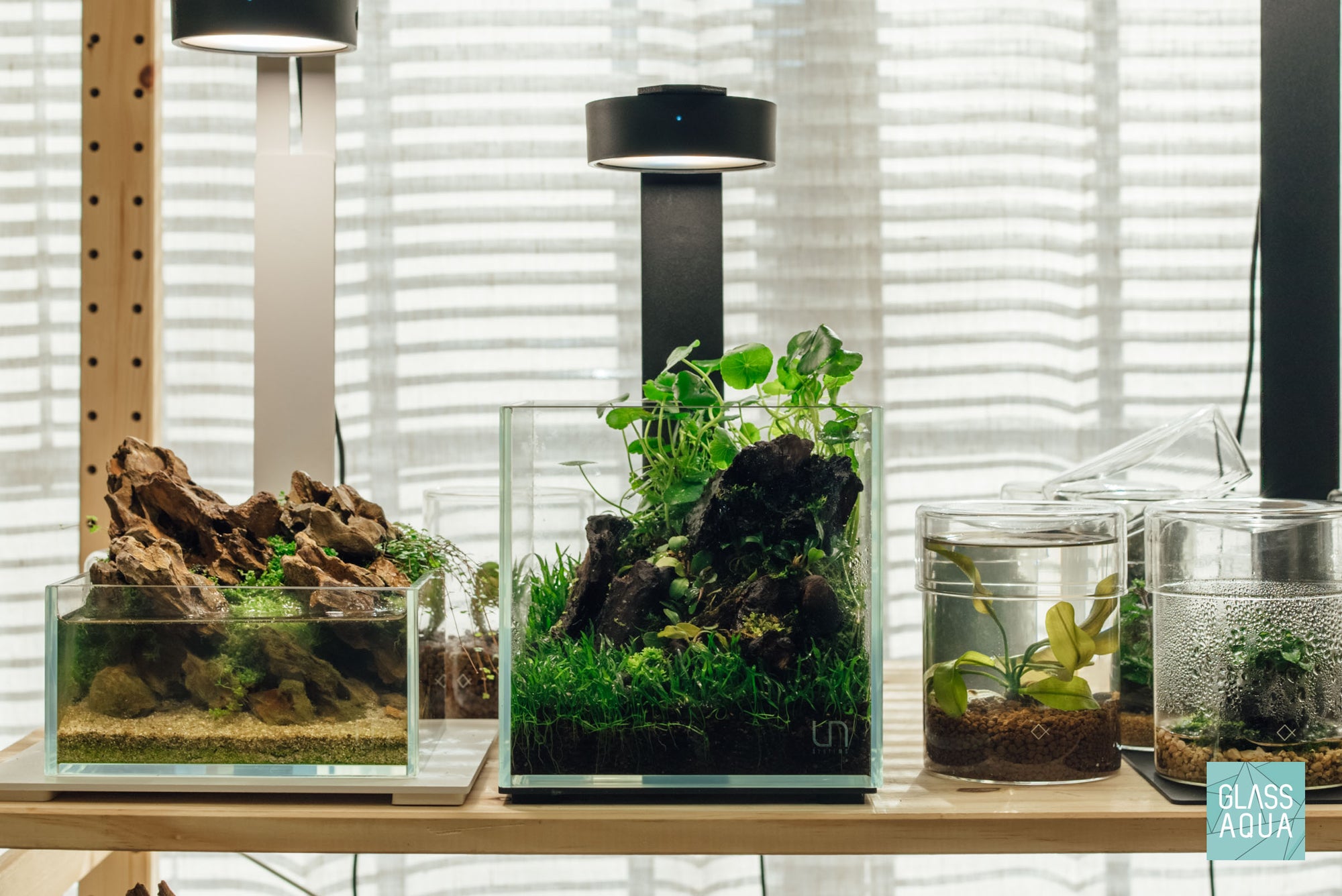 Ultum Nature Systems 16C rimless cube glass nano aquarium tank