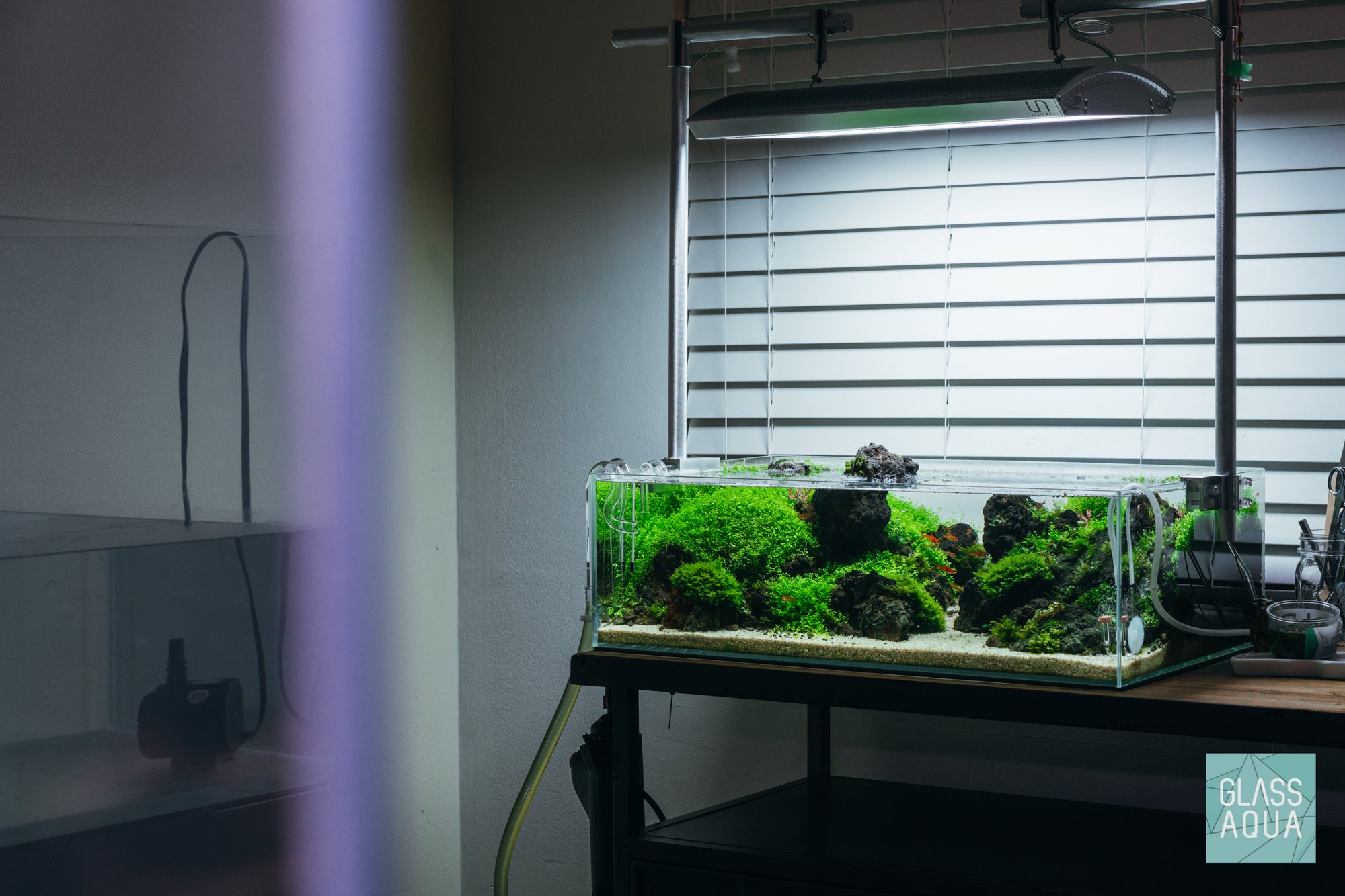 Ultum Nature Systems UNS 60S Shallow planted rimless aquarium tank iwagumi with lava rock