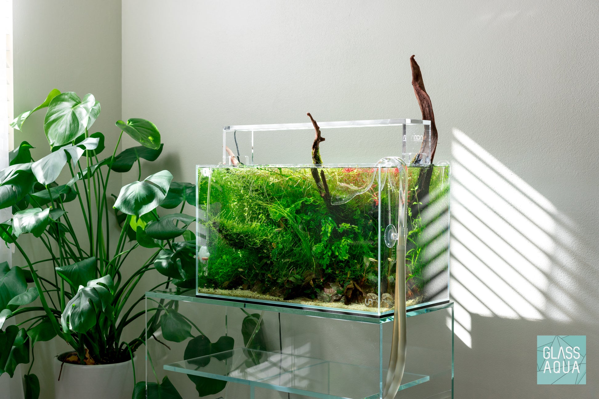 Aquario Neo CO2 Diffuser - Normal Original