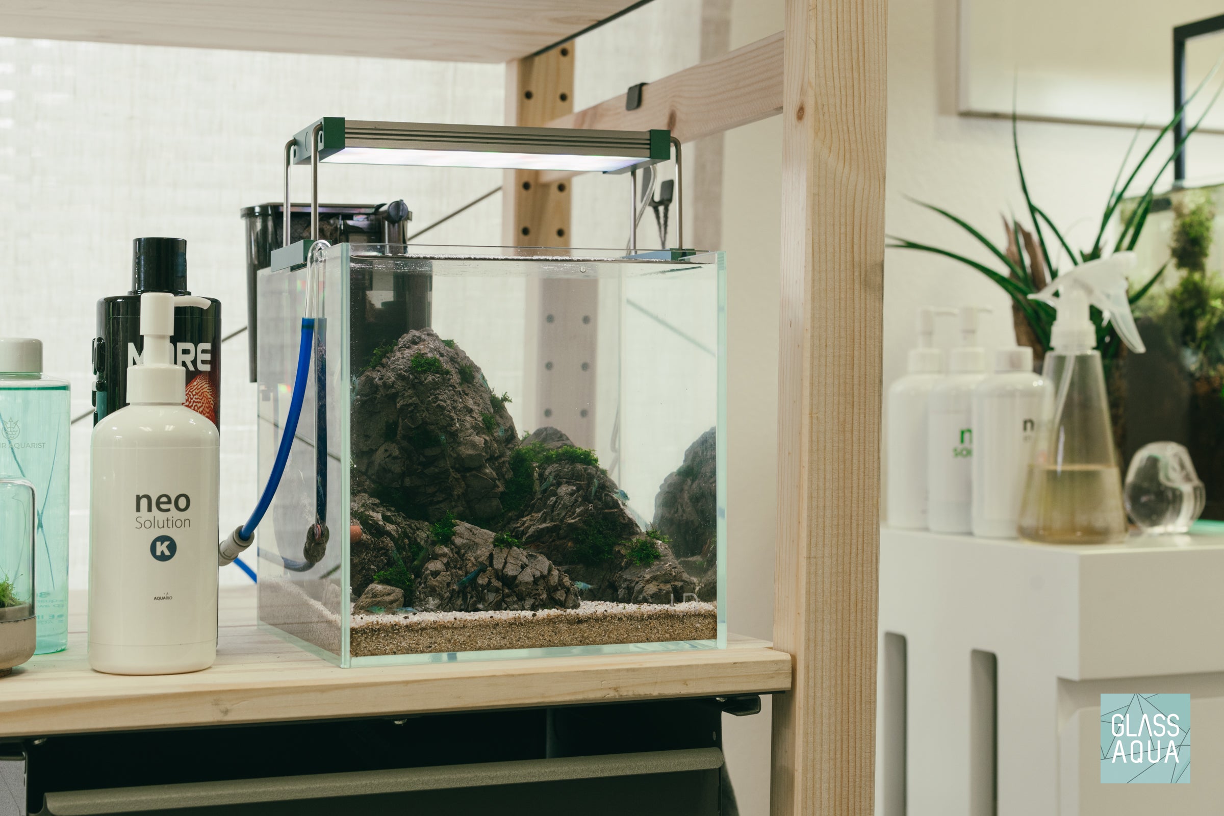 Alpine - Nano Iwagumi Shrimp Tank | Glass Aqua