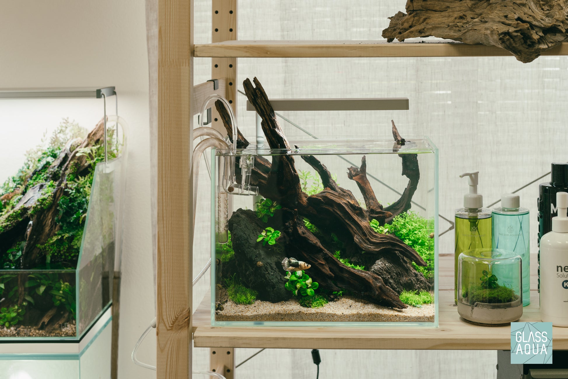Aquario Neo Skimmer