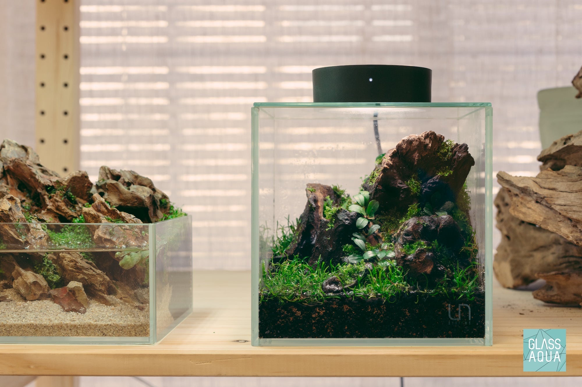 Wabi Kusa Starter Kit - Create a Unique Nature Display - Glass Aqua