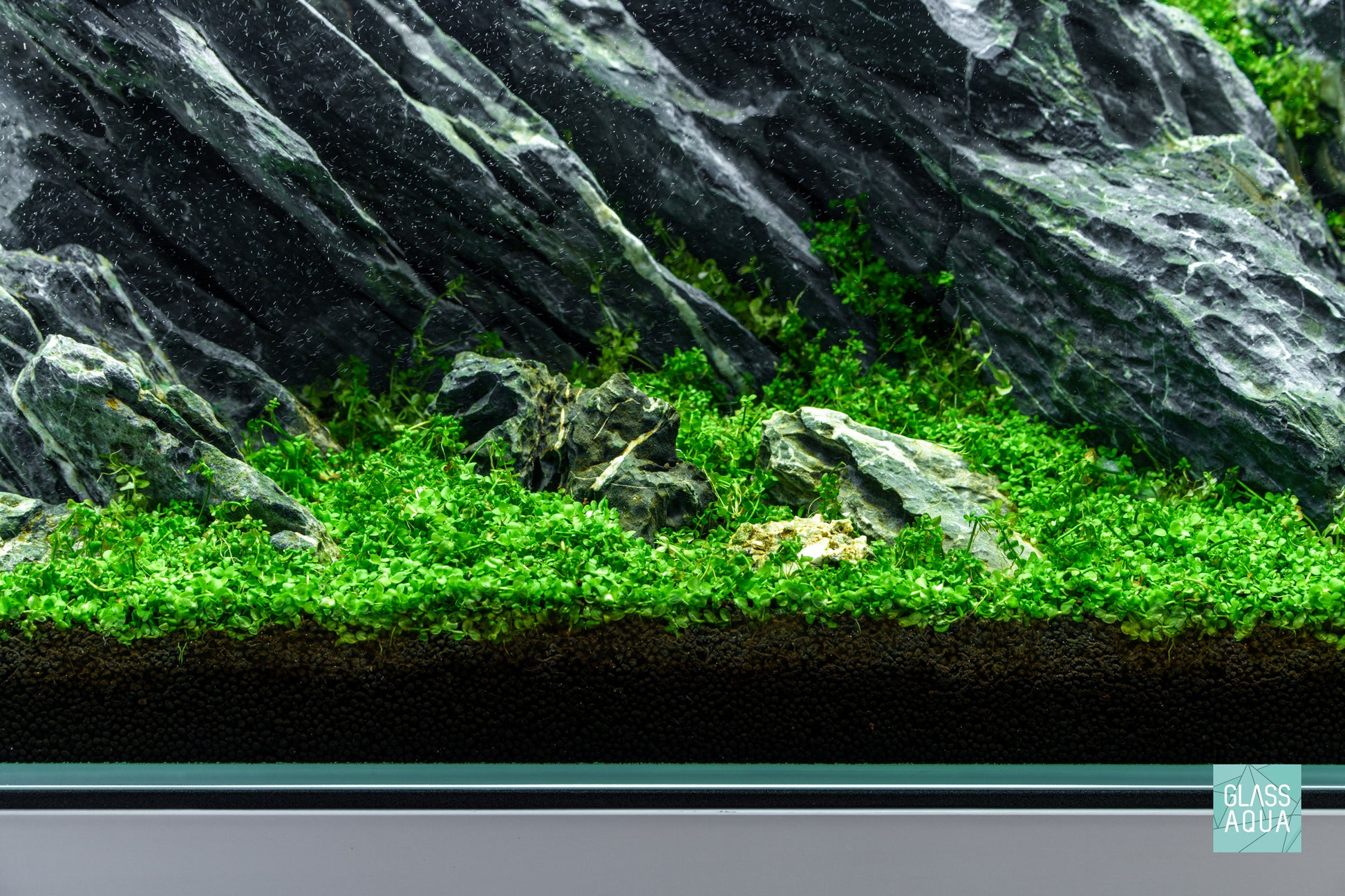 Dr. Tank Algae Remover & Prevention