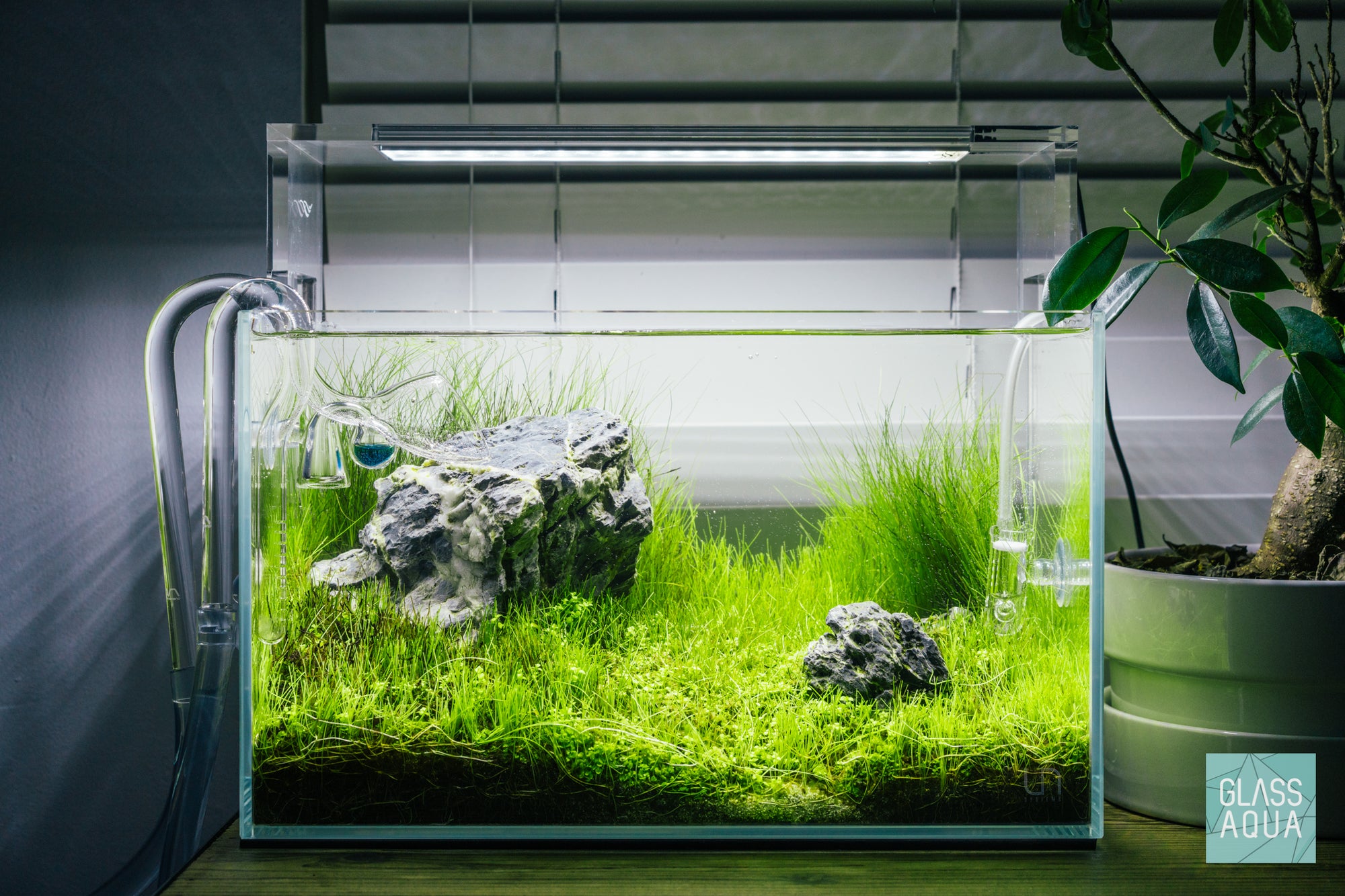 Simple Iwagumi Layout in Ultum Nature Systems Nano Rimless Glass Aquarium