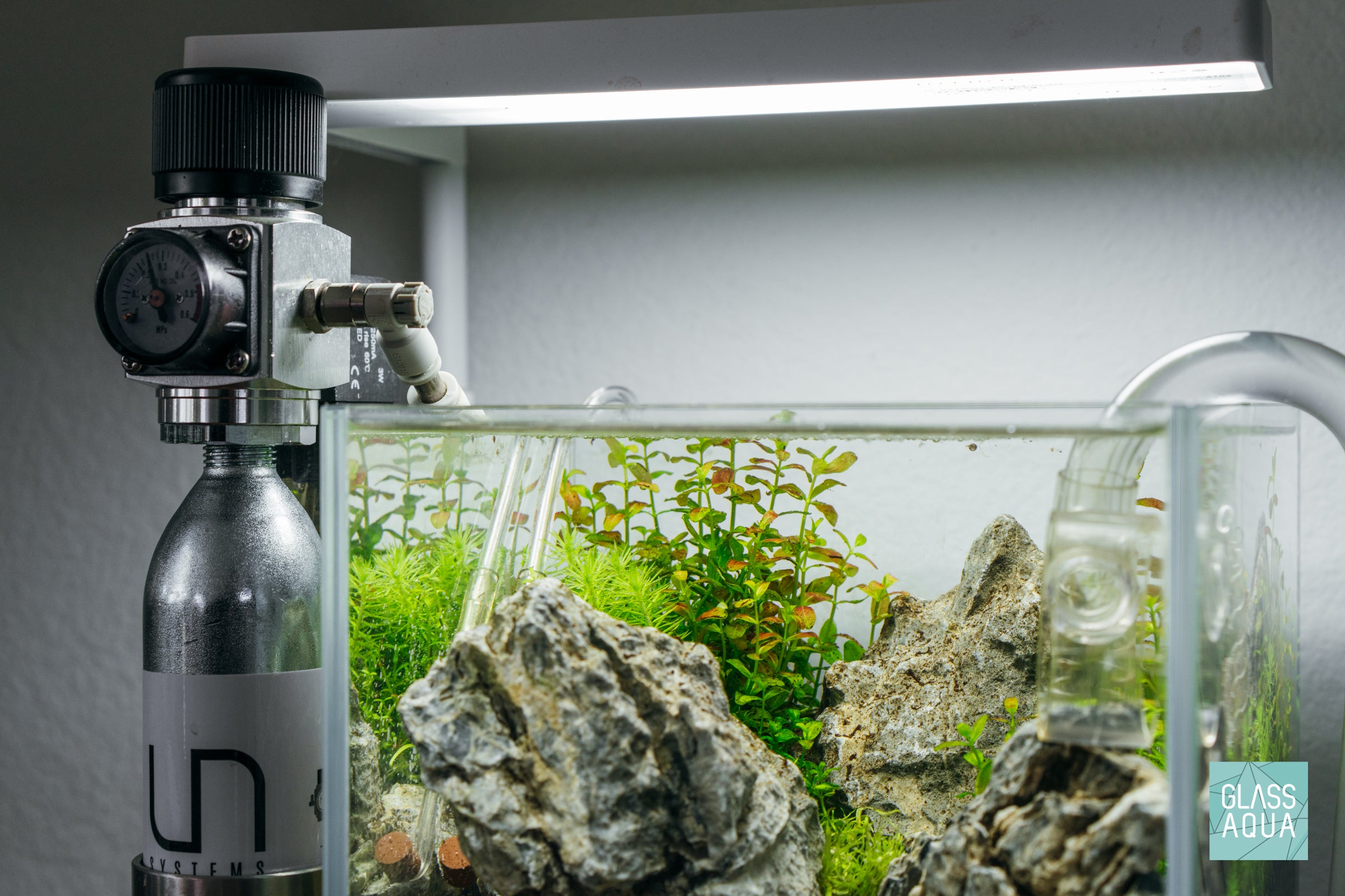 Crestfallen - 1 Gallon Iwagumi Aquascape | Glass Aqua