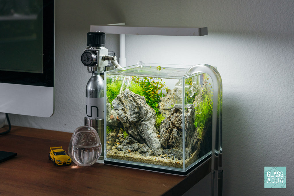 Small pieces of Seiryu Stone in the Ultum Nature Systems 16C nano cube aquarium