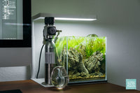 Crestfallen - nano 1 gallon planted aquarium design by Glass Aqua