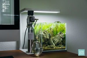 Crestfallen - nano 1 gallon planted aquarium design by Glass Aqua