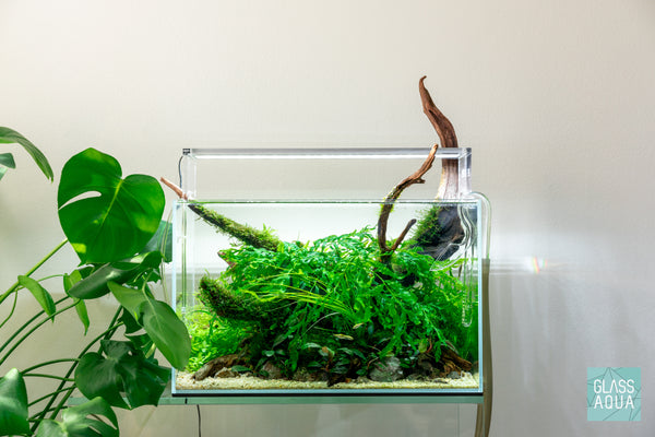 Ultum Nature Systems 45U standard rimless glass aquarium tank