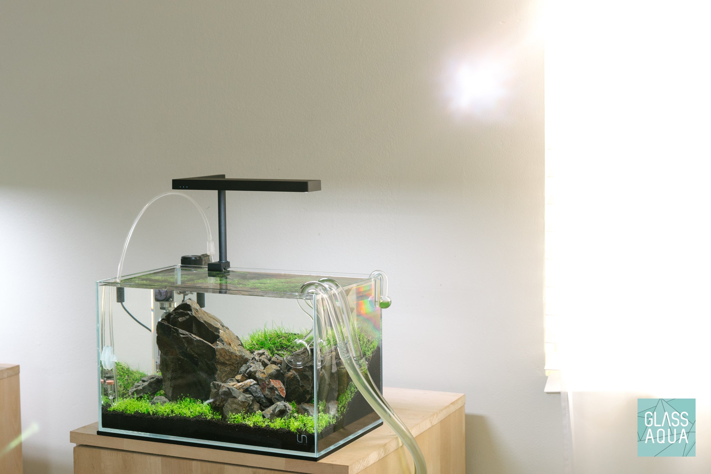 ヤーマン水草 Yama Mini - Nano Iwagumi Scape | Glass Aqua