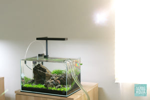 Nano Iwagumi aquascape by Glass Aqua