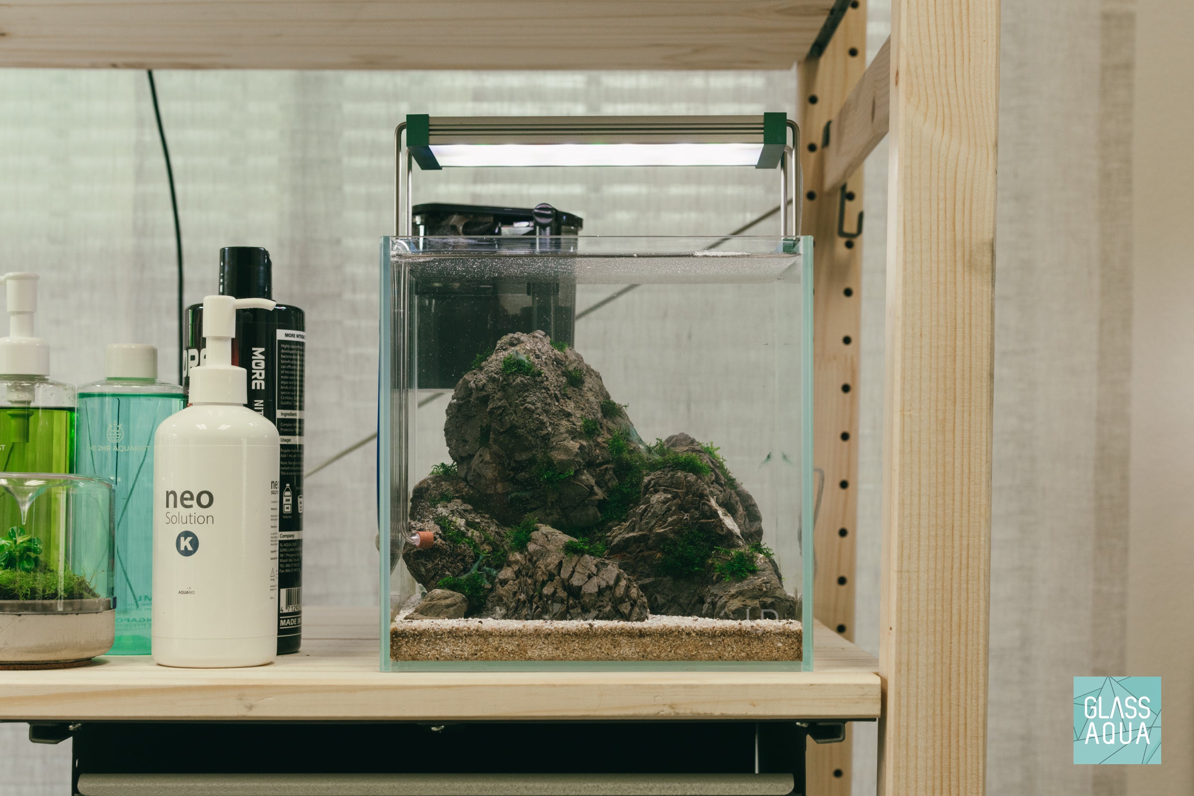 Mt水槽 Alpine - Nano Iwagumi Shrimp Tank | Glass Aqua