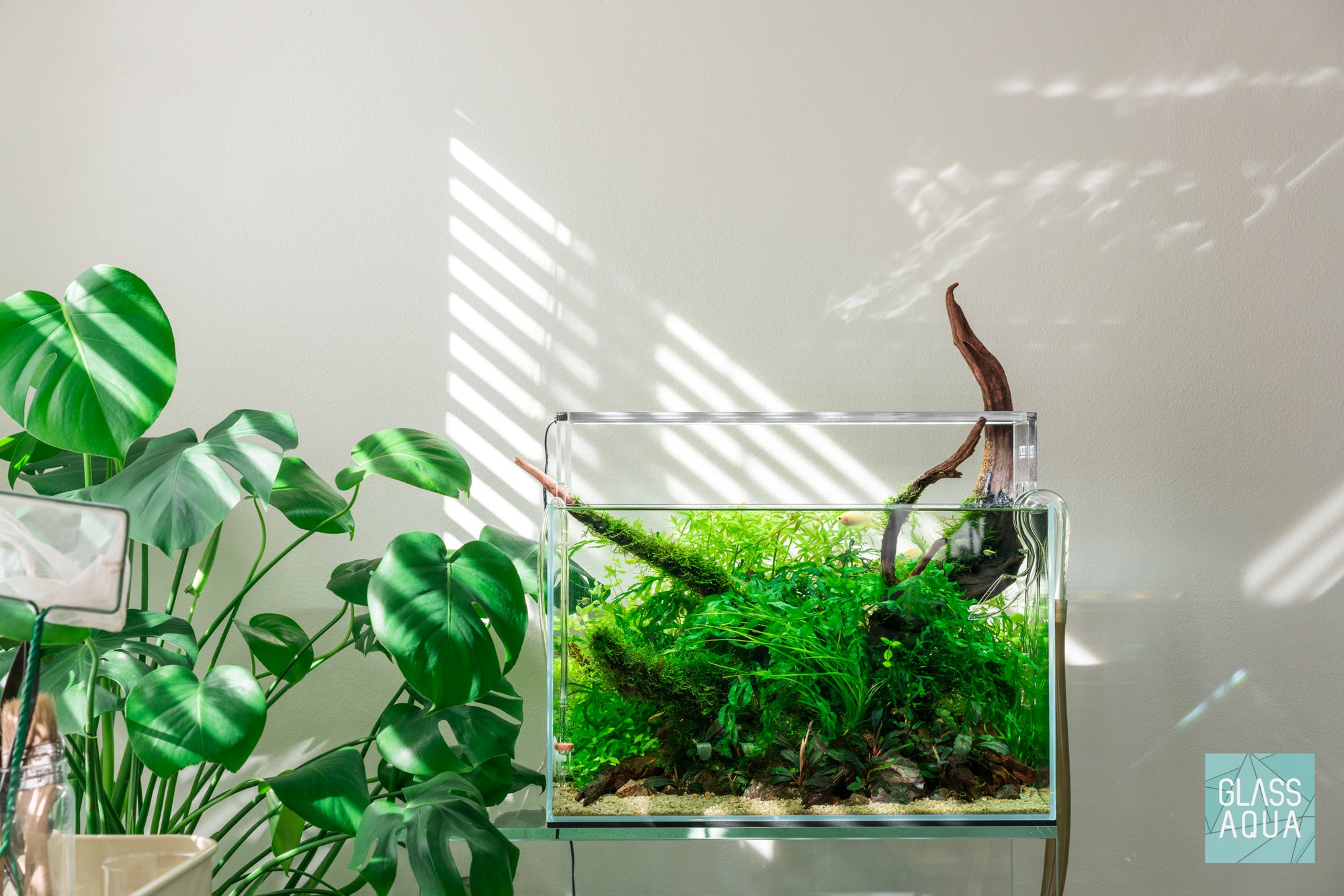 Green Haven 9.3 gallon nature style planted tank by Glass Aqua