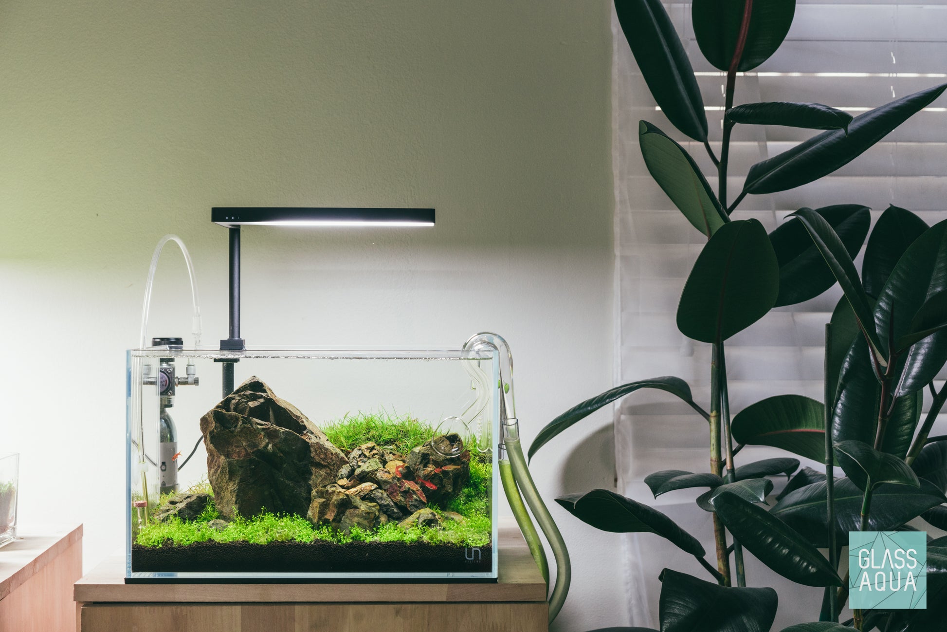 Small aquarium in UNS 5N with Manten Stone by Glass Aqua
