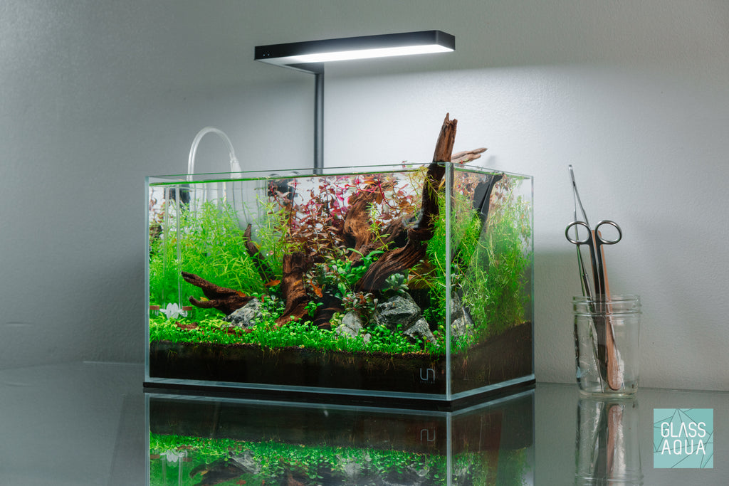 Build Your Own Aquarium Kit - Nano Tank - Glass Aqua