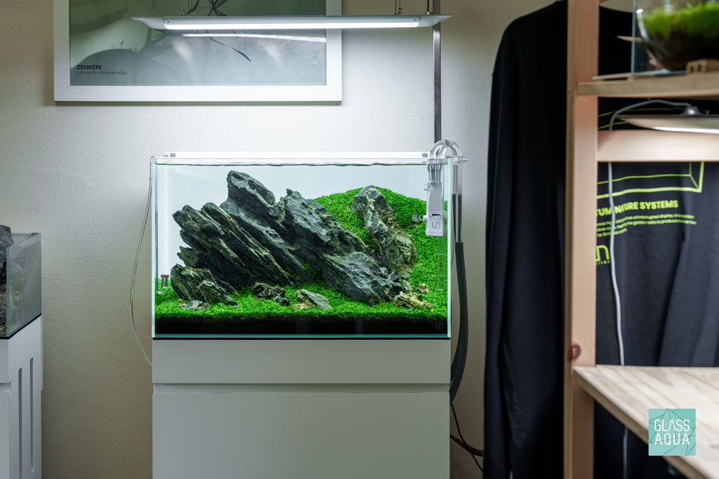Iwagumi aquascape featuring Seiryu Stone in an Ultum Nature Systems 20 gallon standard rimless aquarium
