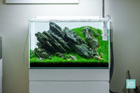 Green Glacier Iwagumi planted aquarium design by Glass Aqua