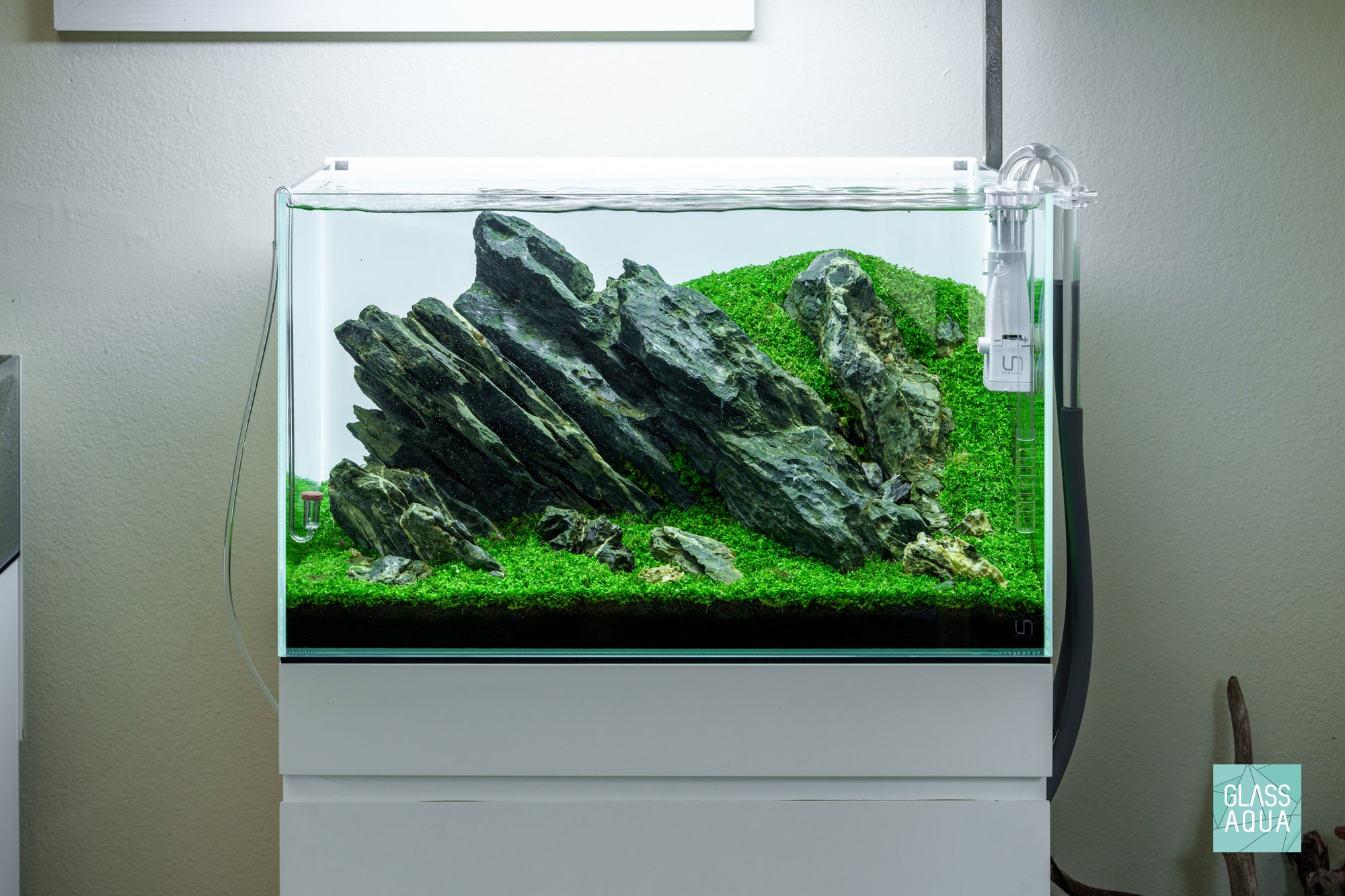 Green Glacier Iwagumi planted aquarium design by Glass Aqua